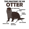 sweet Otter Explanation Anatomy of an Otter