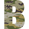 Camouflage letter B