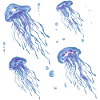 Jellyfish