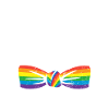 Groom Gay