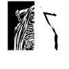 Skelett Sensenmann Antisocial Todesengel