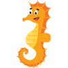 Seepferdchen
