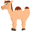 Camel