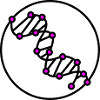 ADN