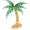 Palm Palm Trees