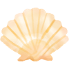 Mussel mussels