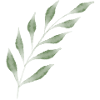 Sheet Branch Icon