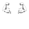It's Gameday! Basketball