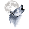 Loup pleurnicheur Pleine Lune