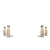 Erdmännchen Design