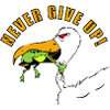 NEVER GIVE UP
