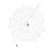 Spider web, spider, Halloween