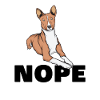 Basenji