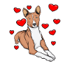Basenji with hearts