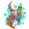 Koi Fish