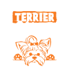 mama yorkshire terrier