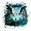 owl,graffiti,painting,black,blue
