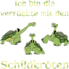 schildkröten turtle