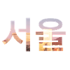 Seoul Korean Language