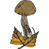 Mushroom