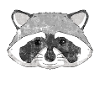 Raccoon Whisperer Waschbär
