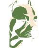 Pitbull