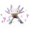 SIE AXOLOTL FRAGEN