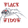 Black Widow Spider