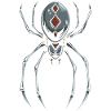 Schwarze Witwe Spinne