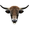 Polyart Taurus