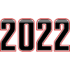 2022 year