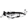 Fisch