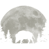 Hunter Wild Boar