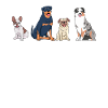 Sit Happens Funny Dog Lover
