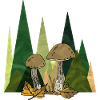 Fungi