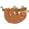 sloth