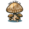 Silicon Valley Psilicon Psilocibin