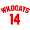 High School Musical Wildcats