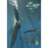 Leedsichthys