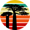 Baobab