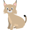 Lynx