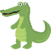 Alligator