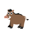 Wild boar