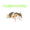 Anatomi af en furry kartoffel marsvin