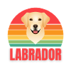 labrador