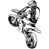 Supermoto / Supermotard / Supermoto Wheelie