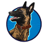 Motif chien belge malinois