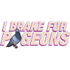 I brake for pigeons