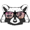 Waschbär mit Sonnenbrille