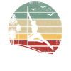 Sunset Pole Dance Pole Dancing Retro Pole Dance